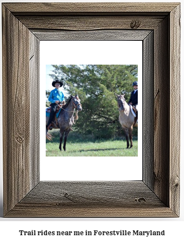 trail rides near me in Forestville, Maryland